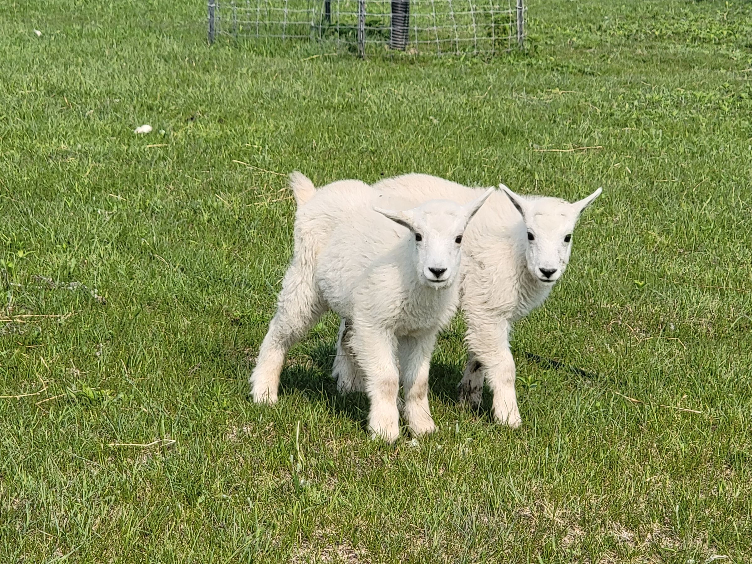 Visiting a Ranch Is Better than Working on a Ranch