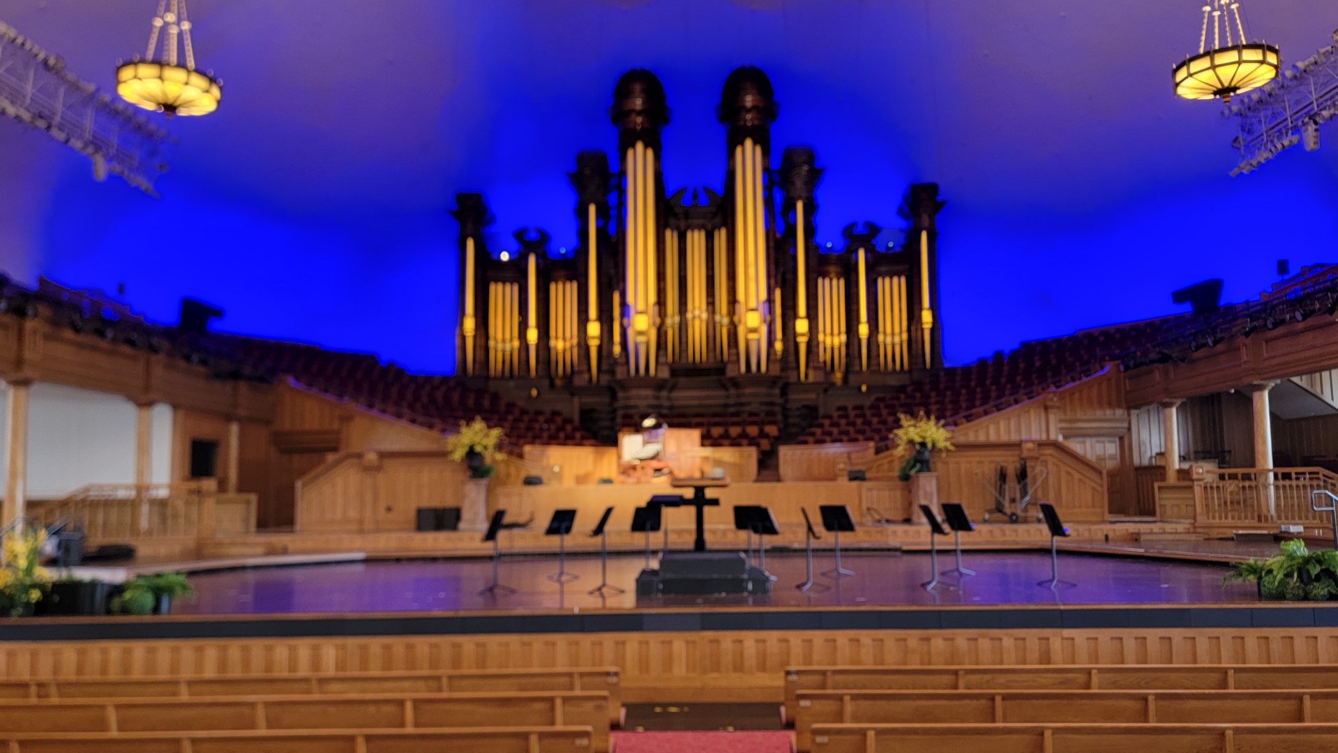 Magnificent Organ, Rain on the Salt Flats